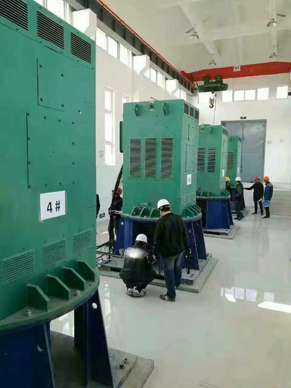 乃东某污水处理厂使用我厂的立式高压电机安装现场生产厂家